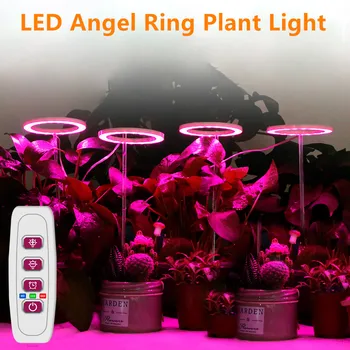 Led Лампа За Отглеждане на DC5V USB, Пълна Гама, Фито-Лампа За Отглеждане, Ангел, Пръстен, Растения, Осветление За Отглеждане на Стайни Растения, Разсад, Домашно Цвете
