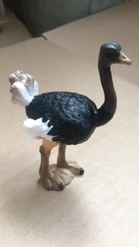 pvc открита модел Мъжки страусиной играчки